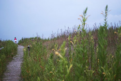 Trali Running in Venetian islands